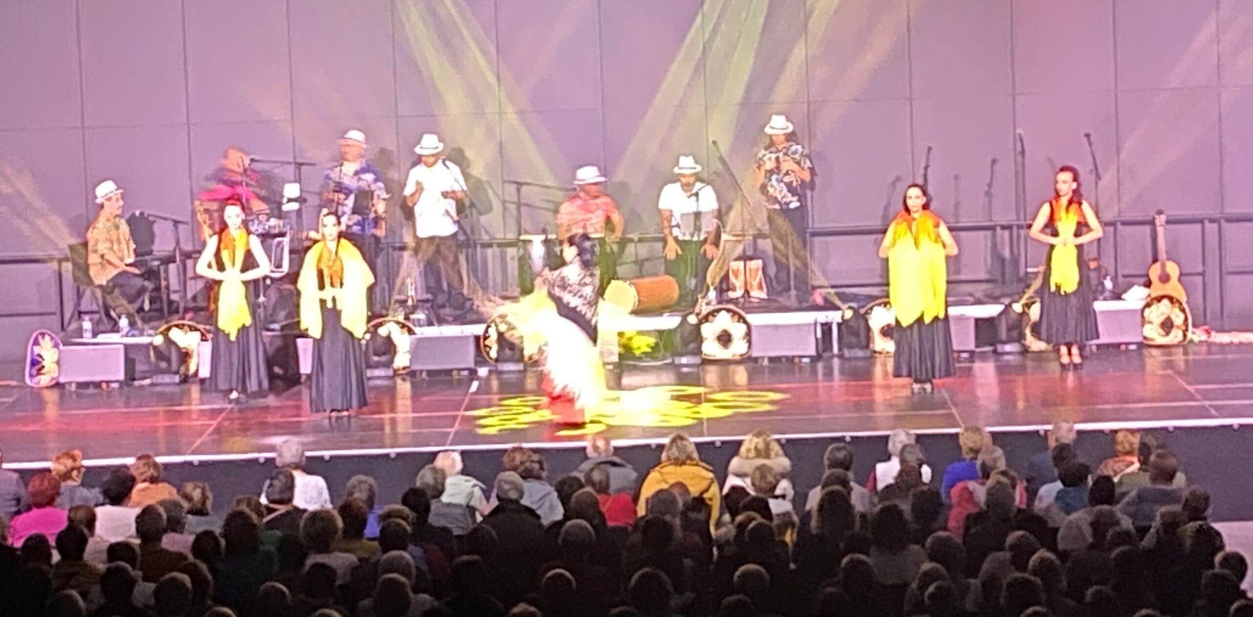 Un spectacle haut en couleur pour les seniors ! - Mairie de Quincy ...